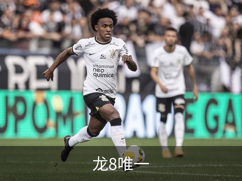 走进龙8唯一